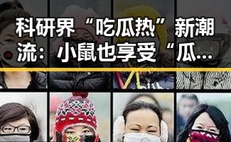 科研界“吃瓜热”新潮流：小鼠也享受“瓜果盛宴” 🐭🍉