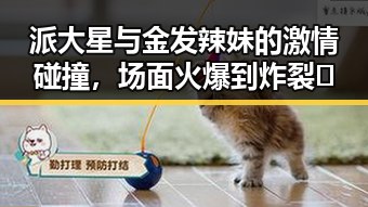 派大星与金发辣妹的激情碰撞，场面火爆到炸裂🔥