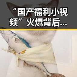 “国产福利小视频”火爆背后：内容多样、接地气，网友直呼停不下来！