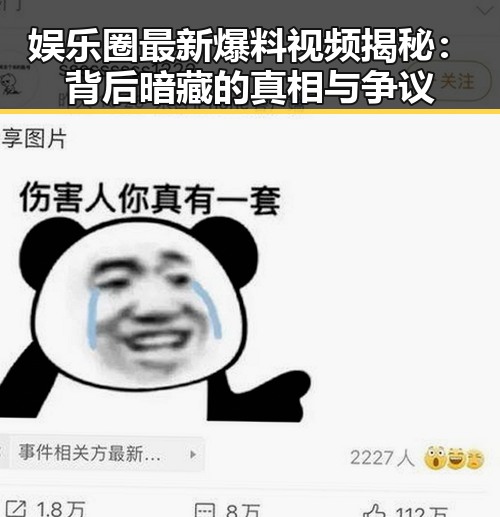 娱乐圈最新爆料视频揭秘：背后暗藏的真相与争议