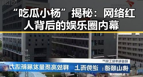 “吃瓜小杨”揭秘：网络红人背后的娱乐圈内幕